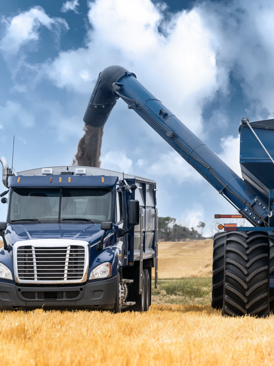 A blue truck is being loaded with grain from a large agricultural machine in a field under a partly cloudy sky, showcasing advanced agricultural applications. by Standex Detect