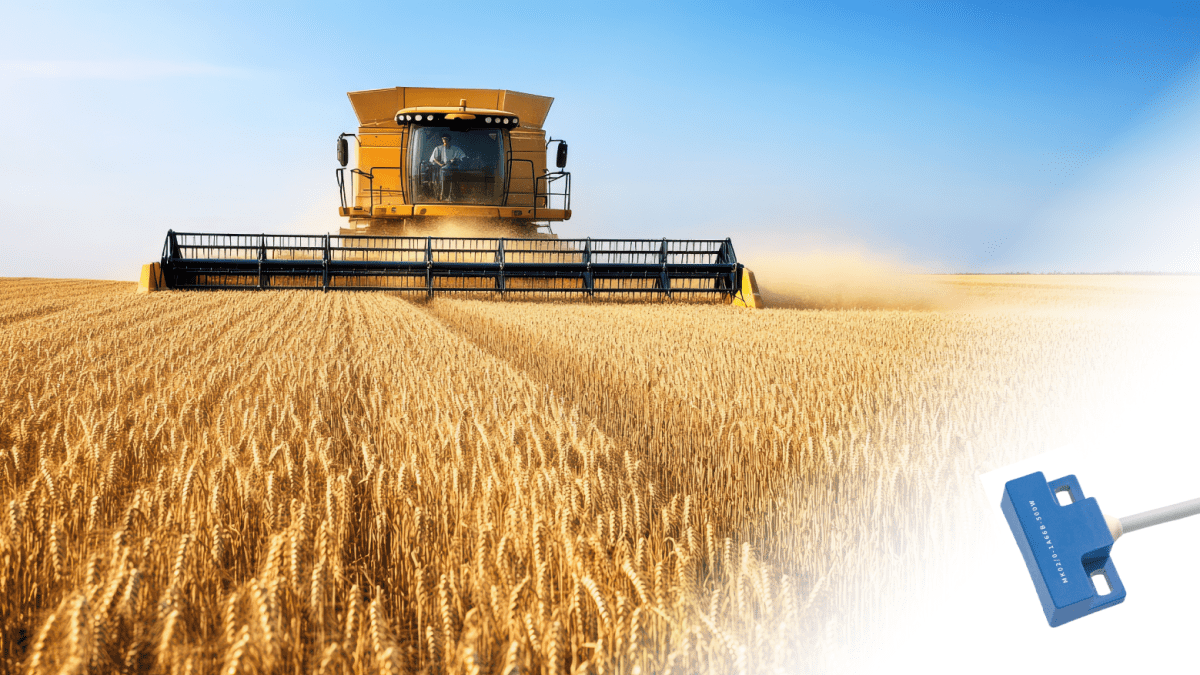 A yellow combine harvester moves through a golden wheat field under a clear blue sky, with a Standex Detect electronic ferrous metal detection sensor device shown in the lower right corner by Standex Detect